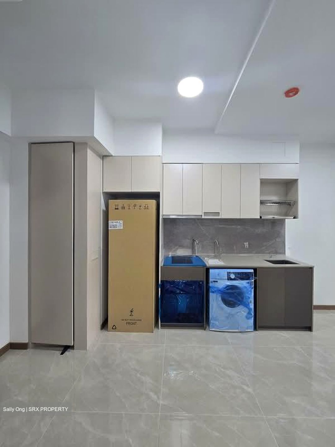 The Botany At Dairy Farm (D23), Condominium #552263351